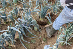 Klosterhof-Via-Nobis-05-┬®KatharinaKasper