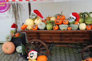 Kürbiskarre