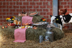 RegioAllerlei-01-┬®-Hof-Bergs