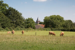 Hof-Kempen-01┬®HofKempen