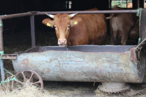 Hof-Kempen-03┬®HofKempen