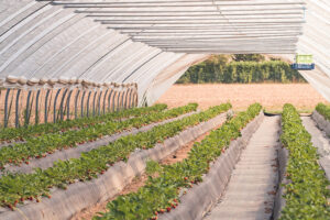 Muehlenhof-Peltzer-06-┬®Ralf-Orths_