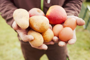 Lievre-02-┬®Hof-Lievre