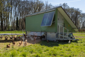 Kreskenhof-04-┬®Ralf-Orths