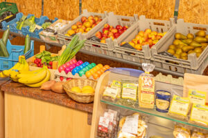 Krickelberger-Doeflaedchen-01-┬®MarkusSchulte