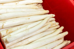 Juppi-02-┬®RalfOrths