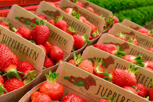 Juppi-04-┬®ArneHensgens