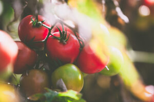 von-heel-01-┬®RalfOrths