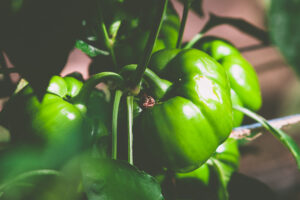 von-heel-02-┬®RalfOrths