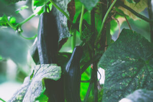 von-heel-03-┬®RalfOrths